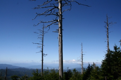 d0055236_22315832.jpg