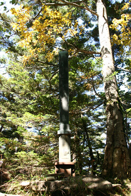 d0055236_22341858.jpg