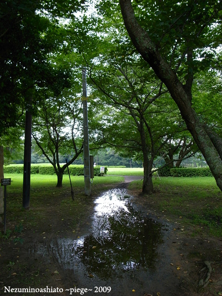 f0184339_22241562.jpg
