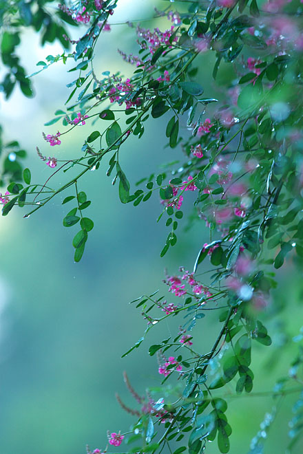 c0067040_22584538.jpg
