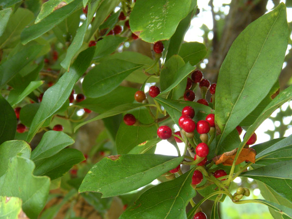 c0047341_01849.jpg