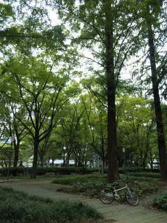 b0176344_8555990.jpg