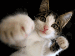 c0174049_11344627.gif