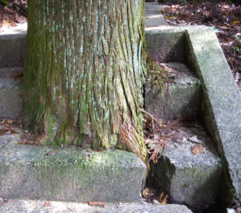 c0155853_91534.jpg