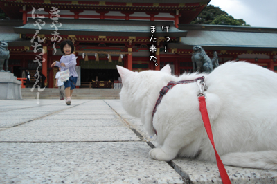 お城公園のお散歩と神社へお参り_e0031853_17332969.jpg