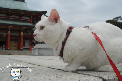 お城公園のお散歩と神社へお参り_e0031853_1733869.jpg