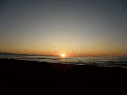 b0159557_21244425.gif
