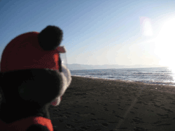 b0159557_2182165.gif