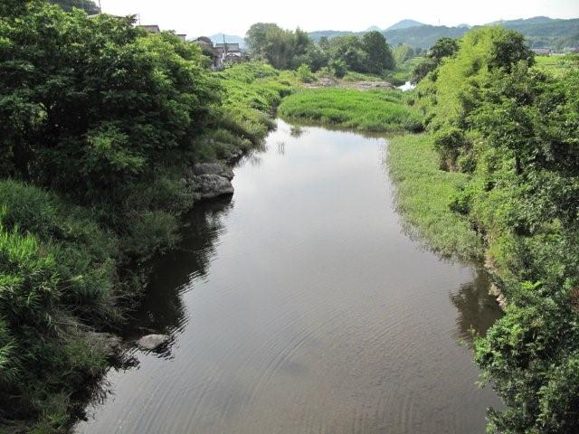 River green_c0157558_20315788.jpg