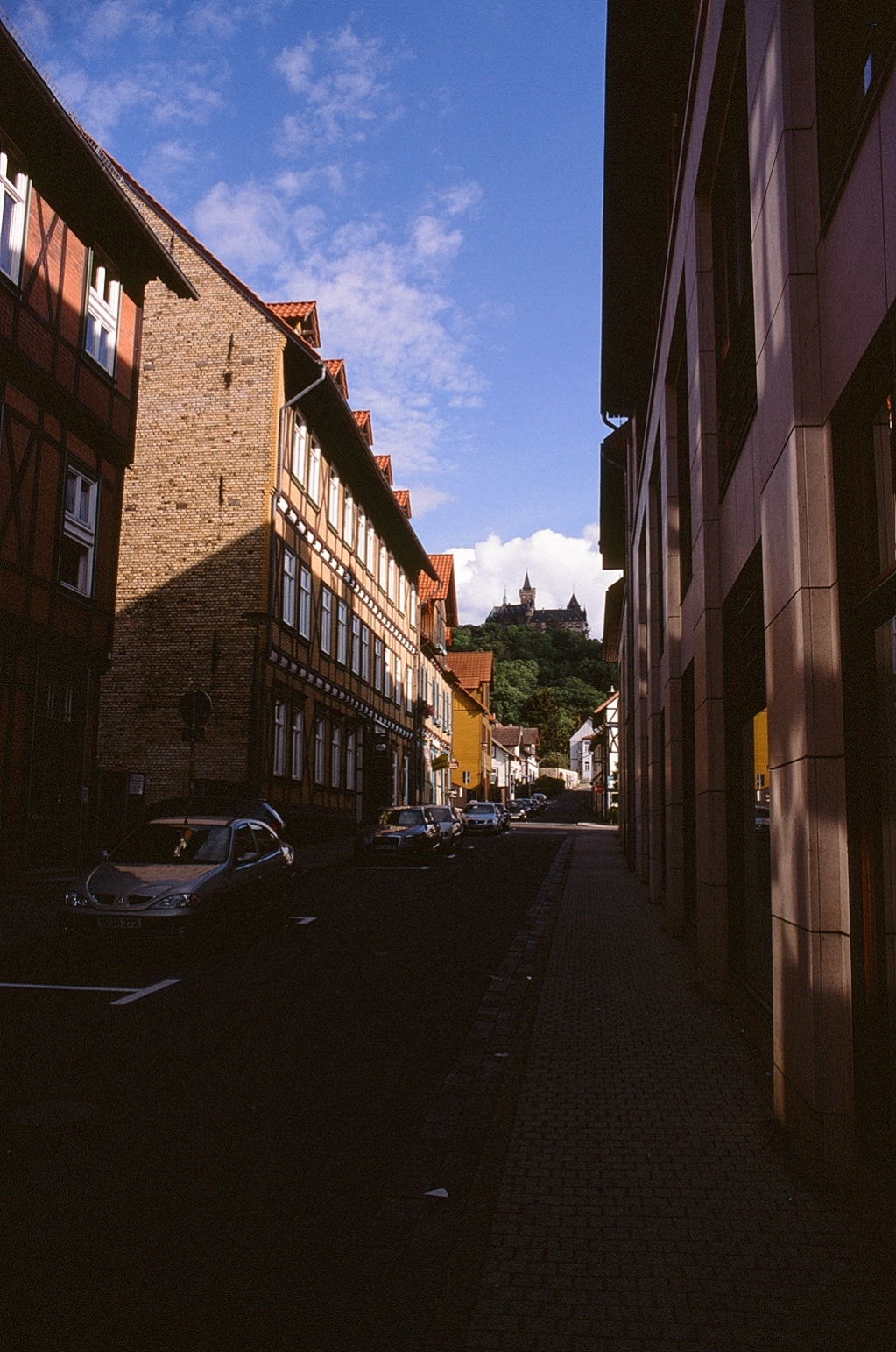 e0134658_3335792.jpg