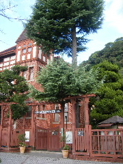 f0043559_129876.jpg