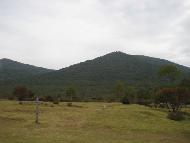 e0116960_2391738.jpg