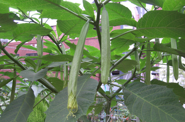a0053063_0583466.jpg