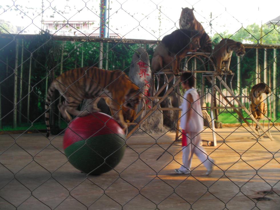 湖南省動物園_b0183063_19512835.jpg