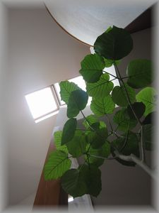 c0120363_12133053.jpg