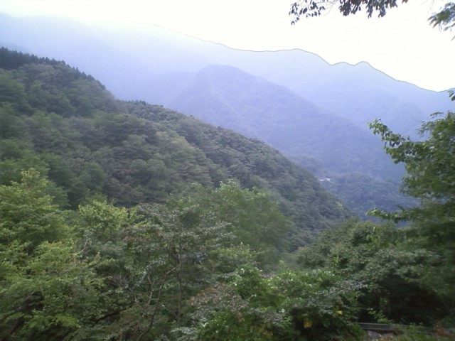 b0149266_15475495.jpg