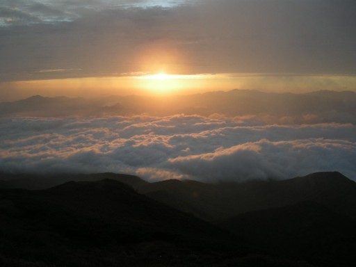 b0185573_20411916.jpg