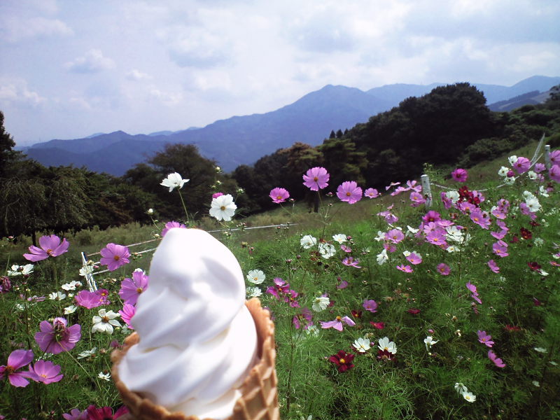 伊勢崎、高篠峠、粥に田峠_b0104774_19314384.jpg