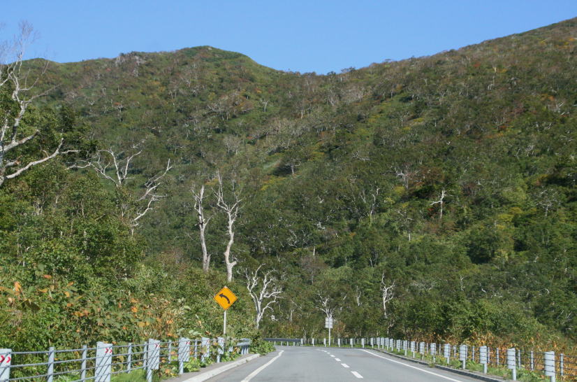 c0112479_081812.jpg