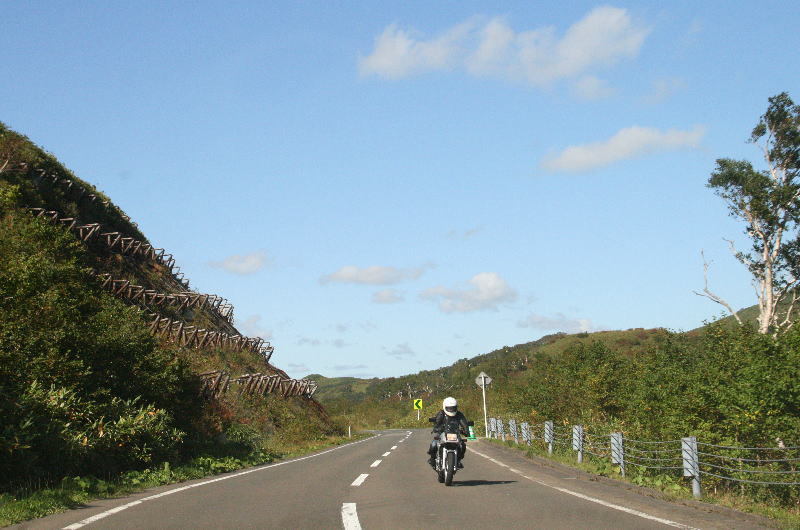 c0112479_084014.jpg