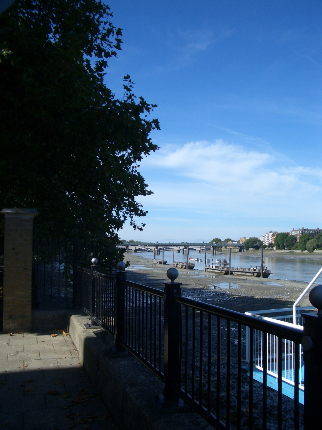 a0137487_22222982.jpg