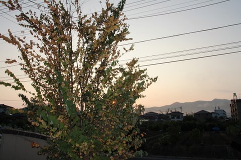 c0096287_910123.jpg