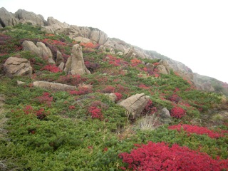 a0064290_22591832.jpg