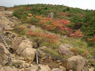 a0064290_2259423.jpg