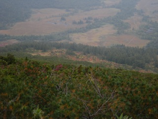 a0064290_22595548.jpg