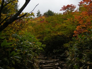 a0064290_2304147.jpg