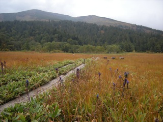 a0064290_2305124.jpg
