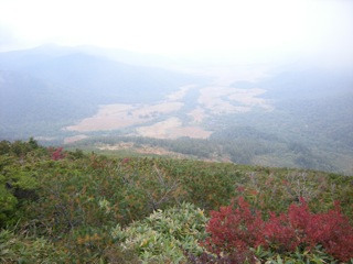 a0064290_230629.jpg