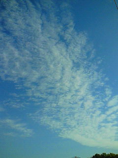 出勤。_d0091994_21451043.jpg