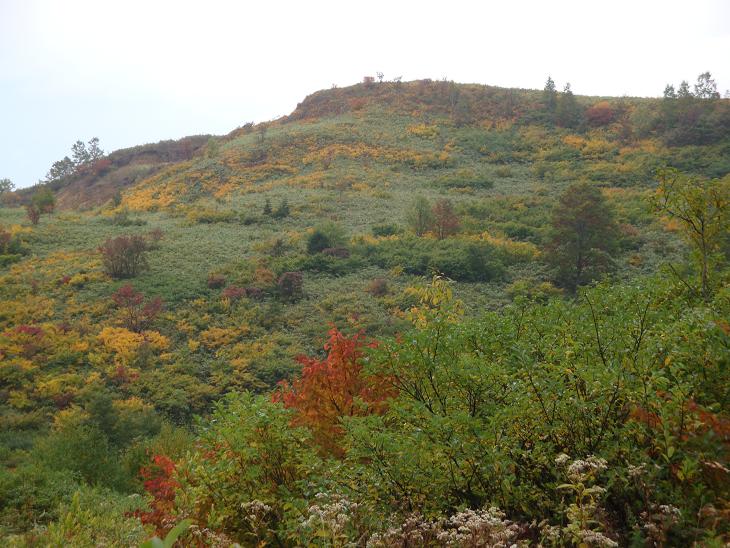 f0075595_23099.jpg