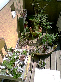 e0124597_22394564.jpg
