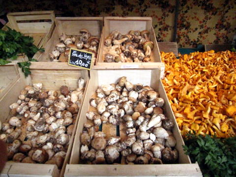 c0090198_3431481.jpg