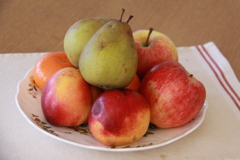 c0090198_3474857.jpg