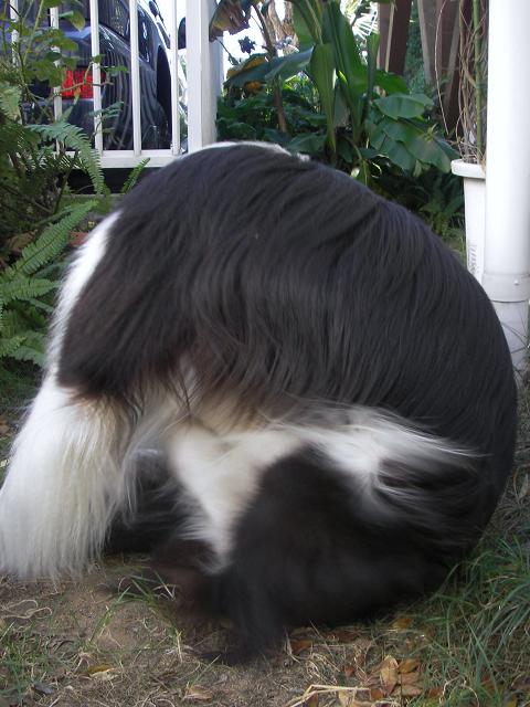 f0034602_20201999.jpg