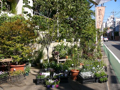 a0123003_1841067.jpg