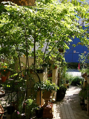 a0123003_18411978.jpg