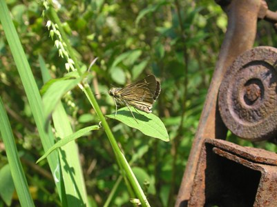c0156104_23563887.jpg