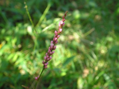 c0156104_23595810.jpg
