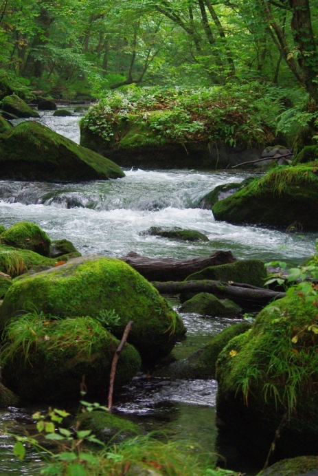 c0156908_0175193.jpg