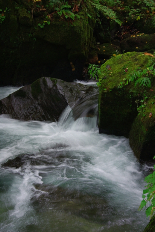 c0156908_0182318.jpg