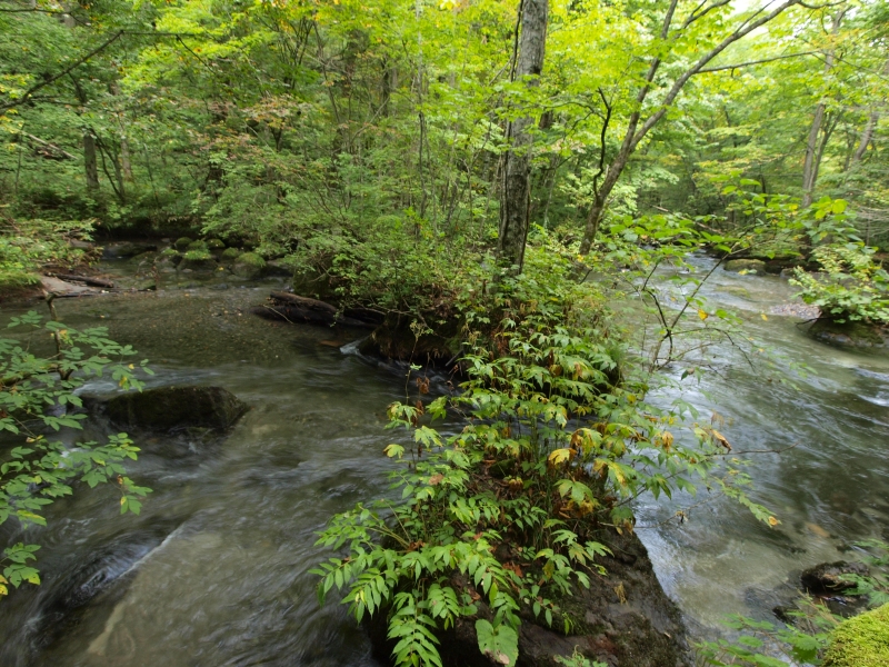 c0156908_0184518.jpg