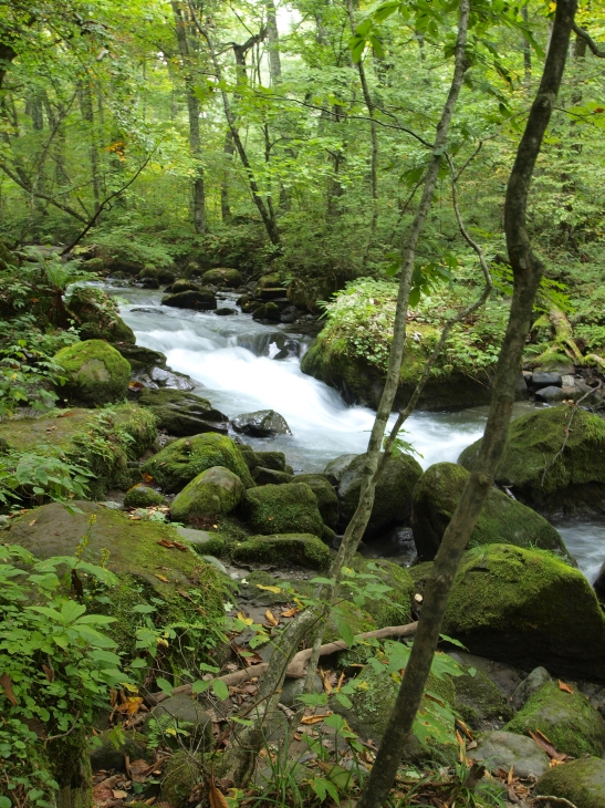 c0156908_0191036.jpg
