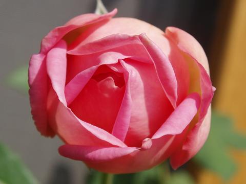 c0147909_23523587.jpg