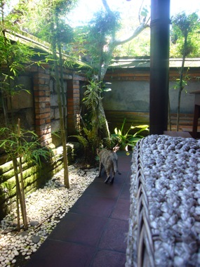 c0093710_19463117.jpg