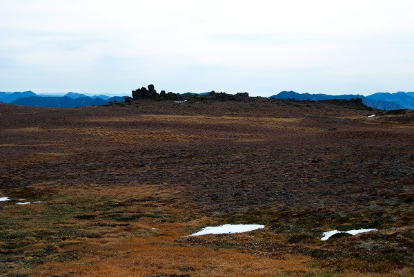 c0153411_227565.jpg