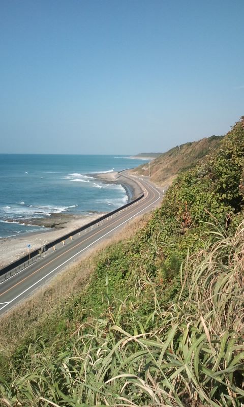 e0031613_9144613.jpg